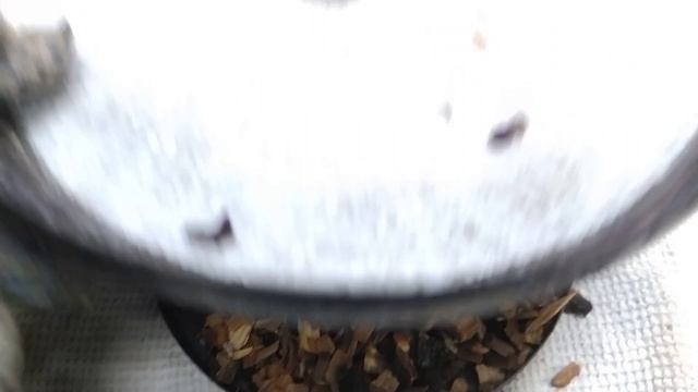 ППпойдёмПокоптим