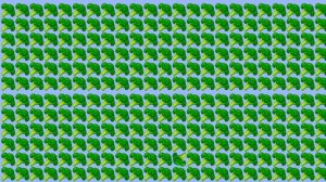 НАЙДИ ЛИШНЕЕ ЗА 30 СЕКУНД ! ТЕСТ НА ВНИМАТЕЛЬНОСТЬ !