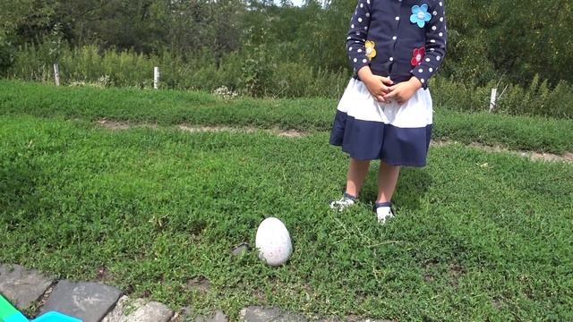 HATCHIMALS ХЕТЧИМАЛС ПИНГВИНЧИК ОБЗОР ВЫЛУПЛЕНИЕ ИНТЕРАКТИВНОГО ПИТОМЦА HATCHIMALS ИГРУШКА смотреть онлайн