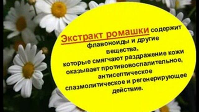 NSP Крем с маслом какао смотреть онлайн