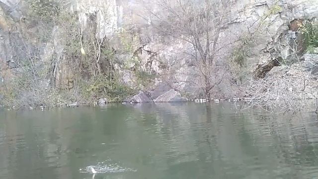 Ловля красноперки на бомбарду,в затопленом карьере смотреть онлайн