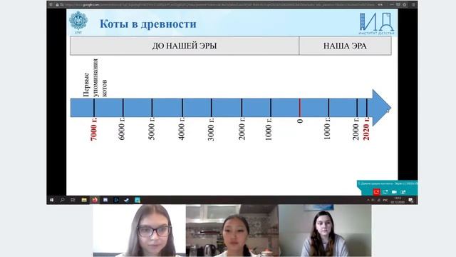 4К Математика: «Математика в котиках и не только» смотреть онлайн