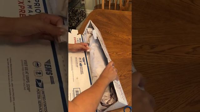 Houseplant unboxing, NSE Tropicals, Pink Princess Philodendron смотреть онлайн