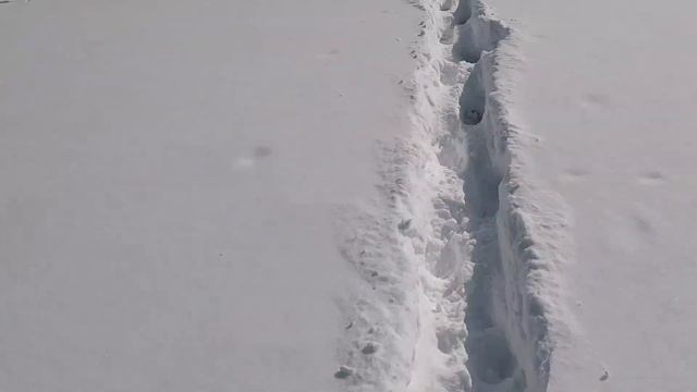 Зимняя рыбалка. озеро Большое Кустовое озеро. 24.03.2018. смотреть онлайн