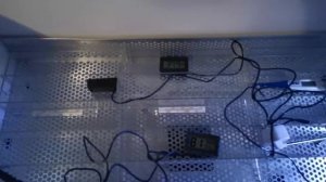 Инкубатор OVO 78 начало