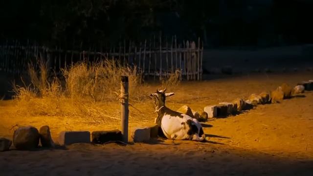 ПРИЗЫВНИКОВ ОТПРАВИЛИ В АФРИКУ! УМОРА! - Экватор. Русские комедии