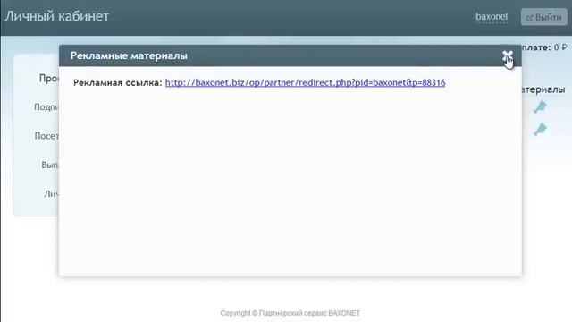 Партнерский сервис Baxonet с оплатой за подписку