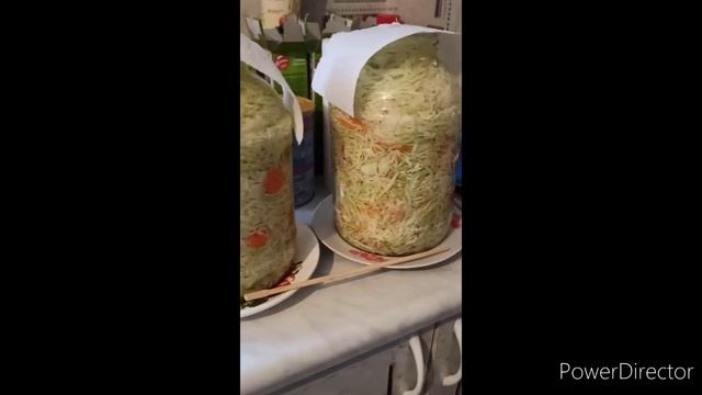 квашенная капуста смотреть онлайн