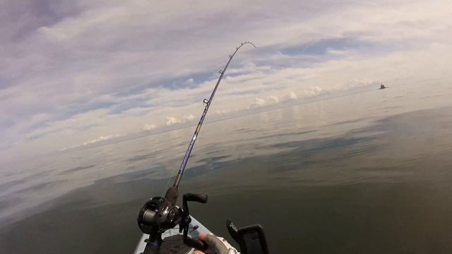 Catching Fluke with Bucktails and Gulp! смотреть онлайн