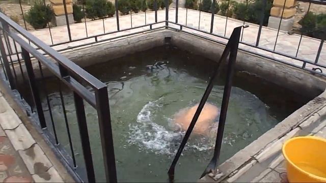 Хорлы. Источник с серебряной водой смотреть онлайн