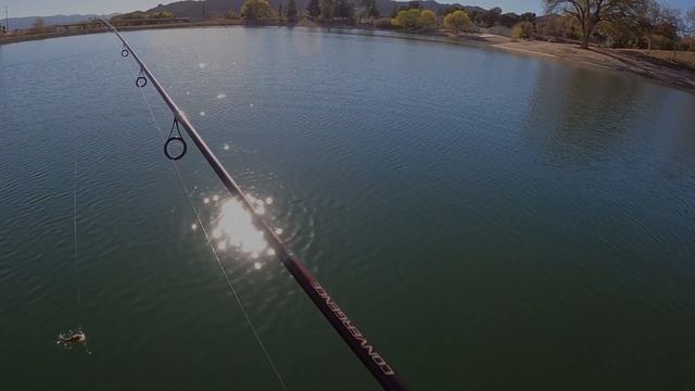 Bass Pro Shop Pond Prowler 8, Ford Maverick, Crankbait Fishing The Castaic Lagoon