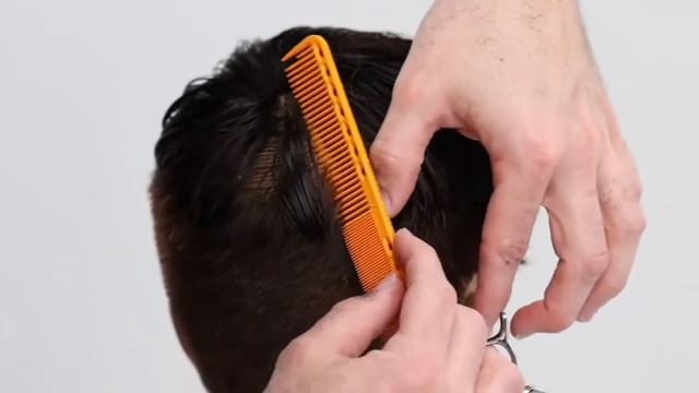 French Crop Haircut Men