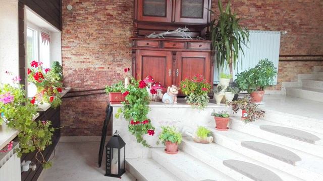 Bed & Breakfast Chalet Belvedere - Ljubljana - Slovenia смотреть онлайн