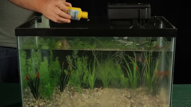 Introducing Fish to Your Aquarium смотреть онлайн