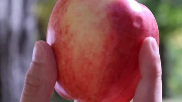 The Big Crunch Draft смотреть онлайн