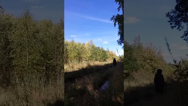 Бездорожье.Дорога домой.Пермский край.Село Нижний Пальник-село ЗАТО Звездный.Квадроцикл. смотреть онлайн