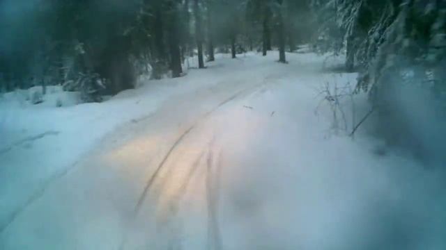 Lynx Safari смотреть онлайн