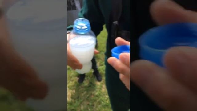 Водичка штыка - Чудо динозавр - Про Бро ШТЫК в деле - Прикол смотреть онлайн