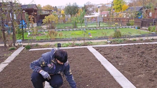 Влог продолжается?/Всего хватило ??/Посадка лука и чеснока ?? смотреть онлайн