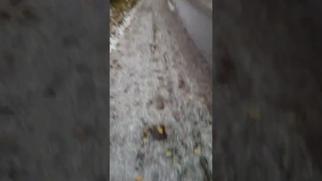 Школьный подарок за 200 рублей очень дорого смотреть онлайн