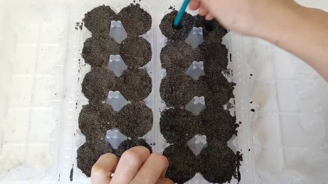 Эустома! ПИКИРУЮ, ДЕЛАЮ СУПЕР ГРУНТ, ИНТЕРЕСНЫЕ ИДЕИ!!! смотреть онлайн