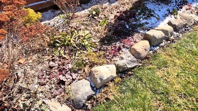 Protecting Tulips, Trellising Clematis & Updates On Mini Greenhouse! 🌷🚫🐇// Suburban Oasis