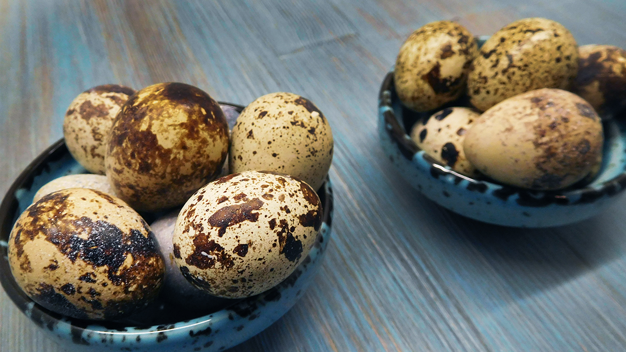 Как и сколько варить перепелиные яйца. Всмятку и вкрутую смотреть онлайн