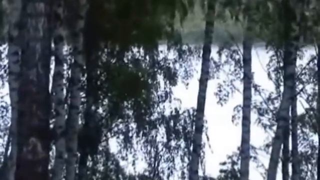 ИЛЬХАМ ШАКИРОВ - СИН САЗЫННЫ УЙНАДЫН смотреть онлайн