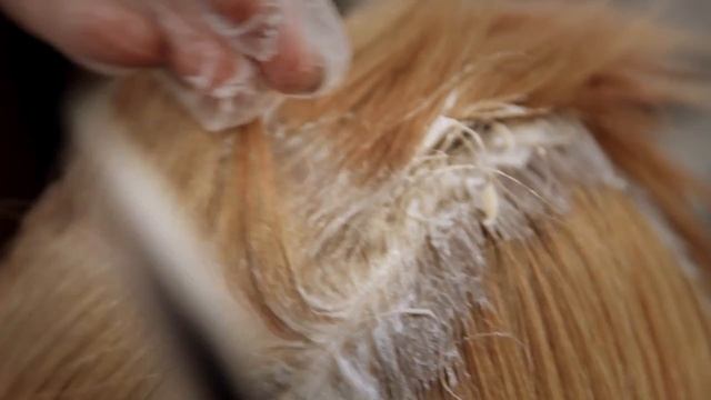 20 место OVA Марго Бусло смотреть онлайн