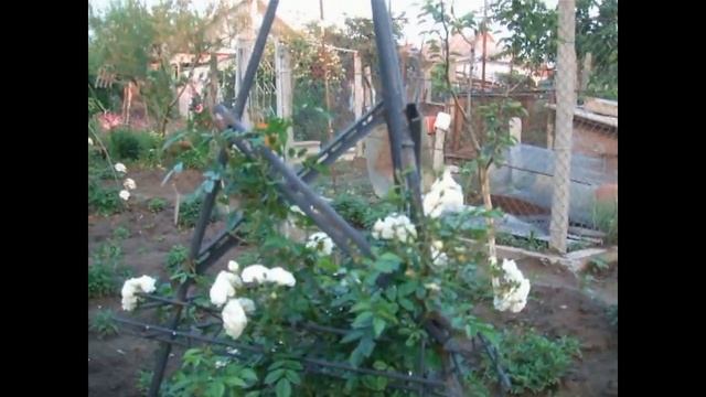 стойки и подставки для цветов смотреть онлайн