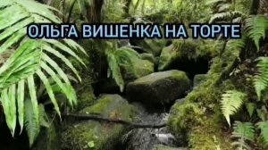 ПОЧЕМУ САФАР РАЗВЁЛСЯ С ЖЕНОЙ. ОЛЬГА УРАЛОЧКА LIVE.