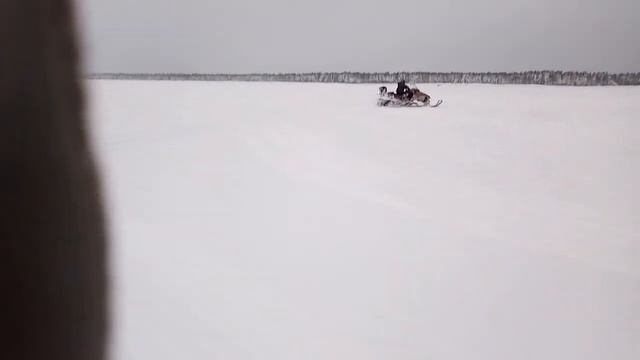 Сам катаюсь на снегоходе смотреть онлайн