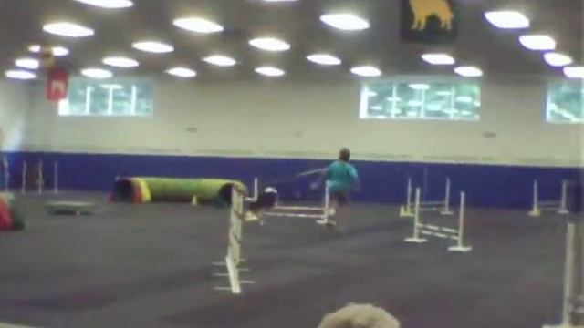 Hamstring Injury Run No 2 - Buddy, because once is never enough . . . смотреть онлайн