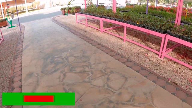 Dubai Municipality Nursery, al warsan I plants for less than 1 dirham only I 4K смотреть онлайн