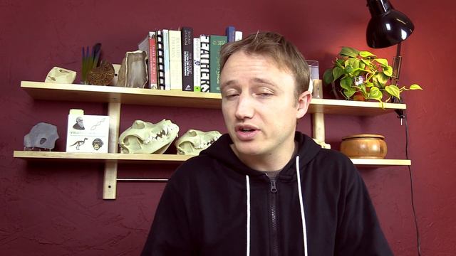 What is a Creationist? Evolution Question #5 смотреть онлайн