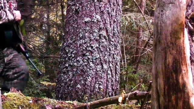 Первая осенняя охота. смотреть онлайн