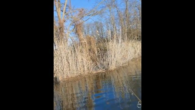 Приколы на рыбалке 2021. Бешенный клёв! Смотреть приколы на рыбалке! смотреть онлайн