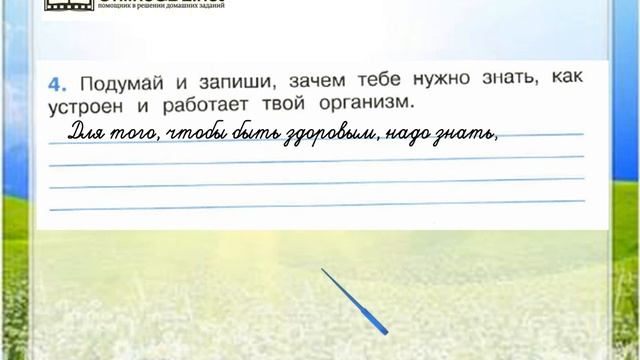 Задание 4 Строение тела человека - Окружающий мир 2 класс (Плешаков А.А.) 2 часть смотреть онлайн