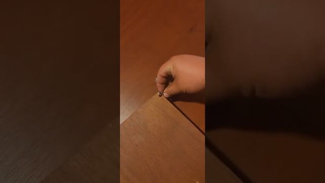 Лайфхак Дверца для кошки Пользуйтесь! смотреть онлайн