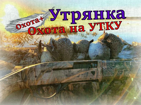 Охота на утку Утрянка, Ружьё Импала Плюс Impala Plus #охота #impala #impalaplus #утро #Охота+ #утки