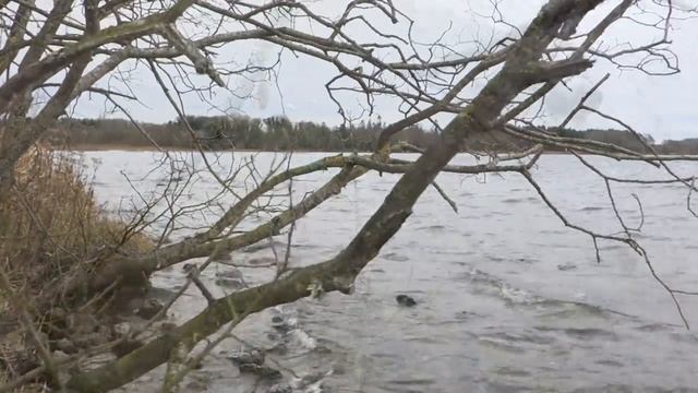 How to save snagged lures or WaterWolf camera with surFer. смотреть онлайн
