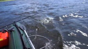 Рыбалка в Ладожских шхерах. Судак, щука и форель