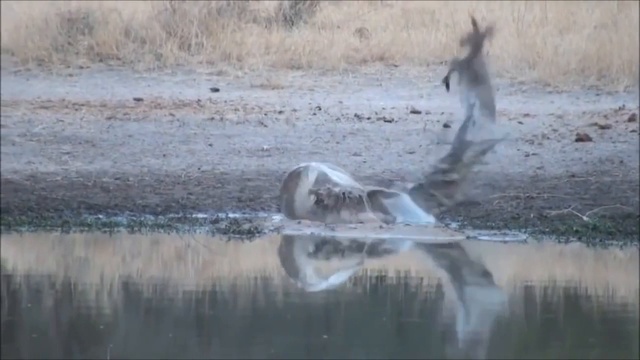 Хорошая реакция смотреть онлайн