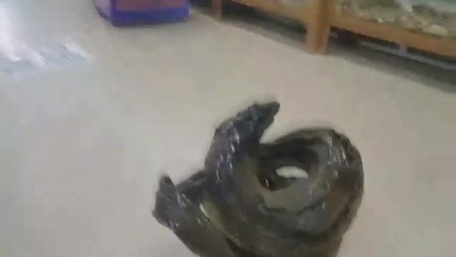 Рыбный ресторан и музей в Стамбуле, район Бейликдюзю | Отдых в Турции - Стамбул | Серия #5 смотреть онлайн