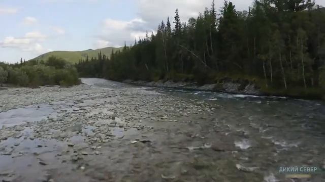 Берега, берега исп и видео Наталья Ежкова, стихи Татьяна Абдумаминова,муз Марат Кадырметов, смотреть онлайн