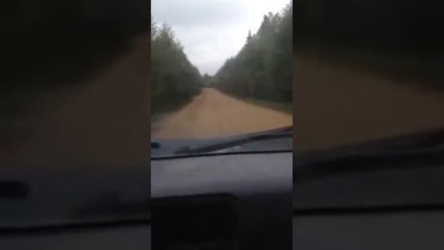 Tlc80 на гребенке смотреть онлайн