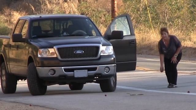 Turtles or Snakes- Which do cars hit more? ROADKILL EXPERIMENT смотреть онлайн