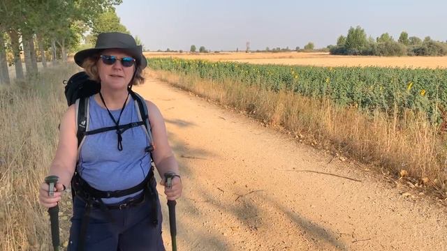 Update from the Camino (5): Psalm 103 смотреть онлайн