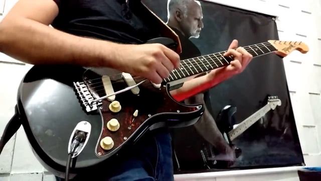 Shine On You Crazy Diamond - Pink Floyd [Pulse] (Cover De Fausto Ferreira)