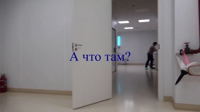 Мрт у кошек и собак. смотреть онлайн